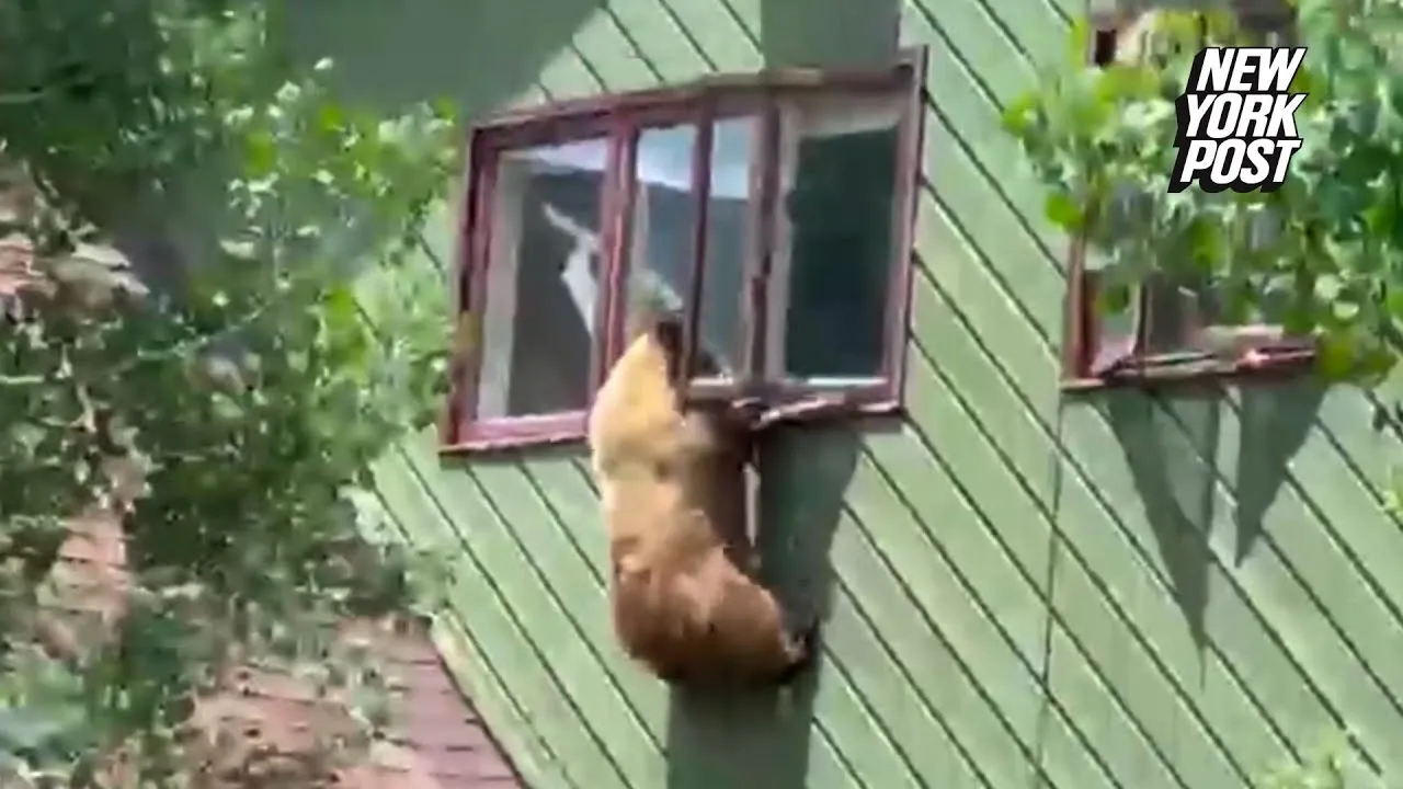 Нажми и смотри
