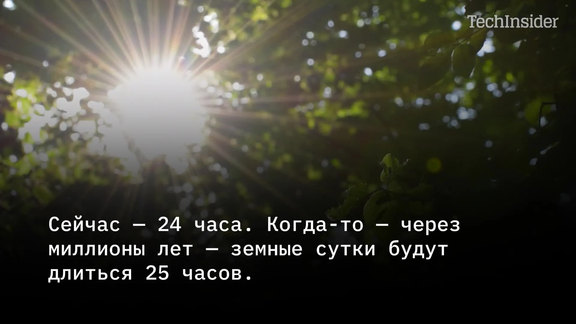 Нажми и смотри