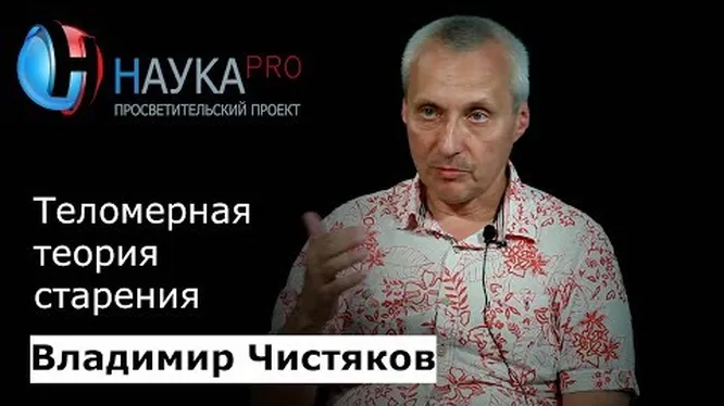 Нажми и смотри