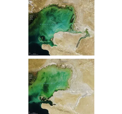 Сокращение Каспийского моря. 20 сентября 2006 г. (верхний рисунок) — 19 сентября 2022 г. (нижний снимок). 19 сентября 2022 года спектрорадиометр с умеренным разрешением (MODIS), установленный на спутнике «Аква» NASA, получил этот снимок (внизу) северной части Каспийского моря в естественных цветах. Часть обширной дельты реки Волги (темно-зеленого цвета) видна вдоль левого края снимка. Осадочные отложения, приносимые в Волгой окрашивают воду в светло-зеленые и бежевые вихревые узоры. Светло-серые участки вдоль береговой линии и белые пятна на юго-востоке, вероятно, представляют собой соль и другие минералы, оставшиеся после испарения.