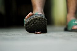 Вооруженный лазером ИИ отлично убивает тараканов