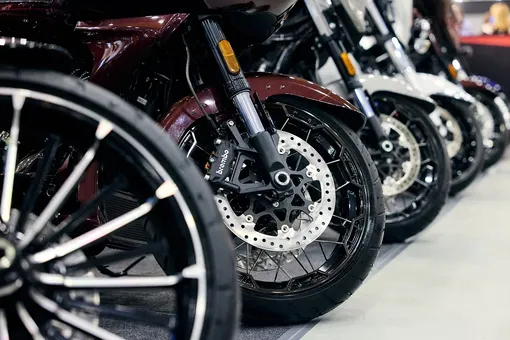 «Мотовесна»