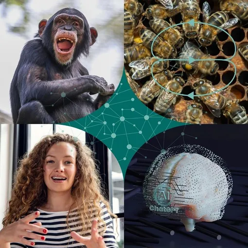 Языки бывают разные.