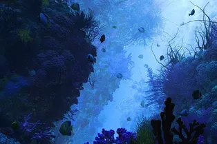 Что скрывает «пустыня» в глубинах Тихого океана: мертвая зона Что скрывает «пустыня» в глубинах Тихого океана: мертвая зона