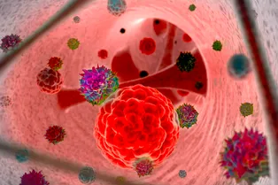 Новое слово в науке: ученые научили вирус герпеса уничтожать рак Новое слово в науке: ученые научили вирус герпеса уничтожать рак