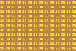 Мини-тест на внимательность: найдите число 33 на картинке Мини-тест на внимательность: найдите число 33 на картинке