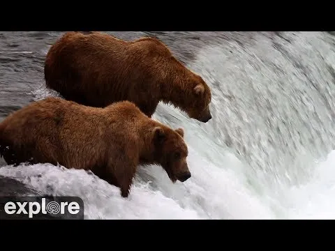 Нажми и смотри Нажми и смотри