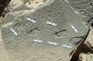 Древние люди, возможно, носили обувь более 100 000 лет назад Древние люди, возможно, носили обувь более 100 000 лет назад