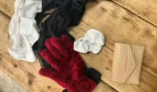 находки котов