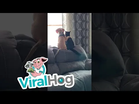 Нажми и смотри