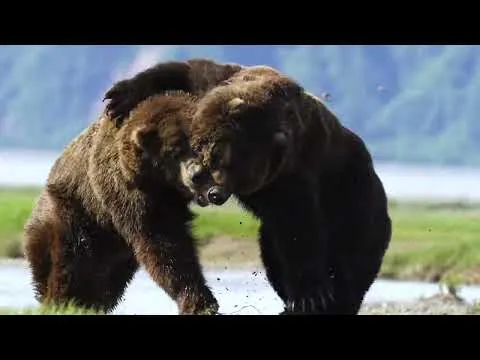 Нажми и смотри Нажми и смотри