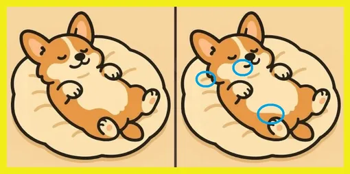 Ответ на головоломку