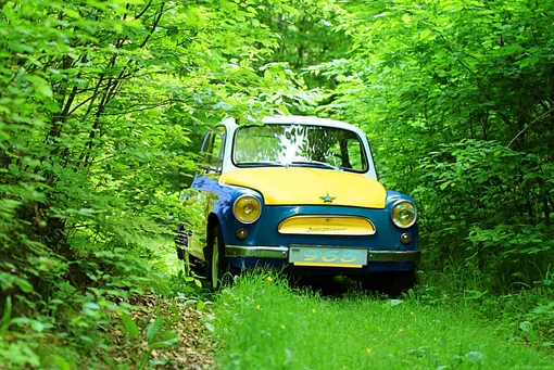 запорожец заз-965 в лесу запорожец заз-965 в лесу