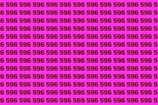 Головоломка для мозга: найдите число 569 за ограниченное время! Головоломка для мозга: найдите число 569 за ограниченное время!