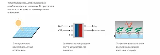 схема электроземледелие схема электроземледелие