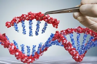 Сразу две биотех-компании готовятся редактировать гены человеческих эмбрионов Сразу две биотех-компании готовятся редактировать гены человеческих эмбрионов