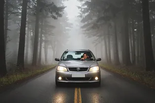 Разгадайте туманное дело: у вас 5 минут и 5 фактов