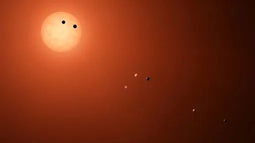 Реконструкция семи планет, обращающихся вокруг ультрахолодного карлика TRAPPIST-1.