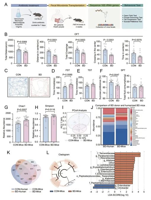Колонизация кишечной микробиоты у пациентов с БД