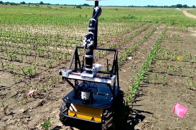 Vinobot: робот, который хочет накормить весь мир Vinobot: робот, который хочет накормить весь мир