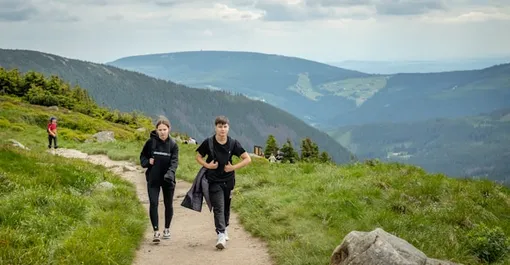 спорт спорт