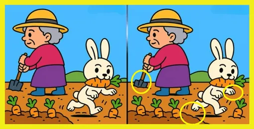 Ответ на головоломку