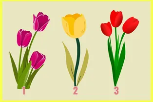 Выберите тюльпан, а мы расскажем все о вашем характере: тест для самопознания