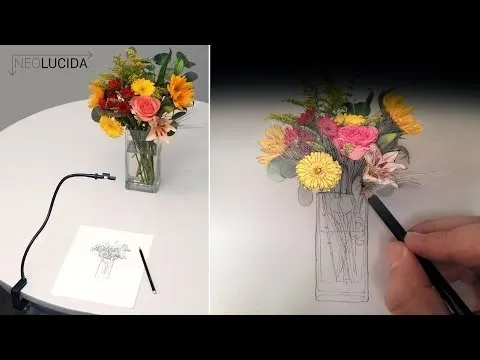 Нажми и смотри Нажми и смотри