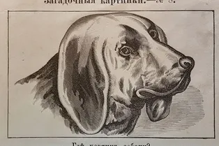 Винтажная головоломка для самых глазастых: где хозяин собаки? Попробуйте найти его за 20 секунд!