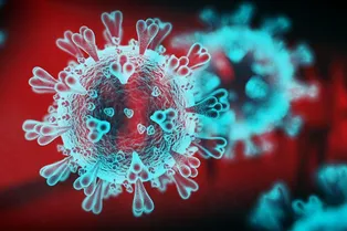 Число заболевших COVID-19 в РФ превысило 250 000 Число заболевших COVID-19 в РФ превысило 250 000
