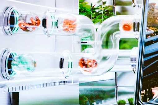 Форум будущих технологий