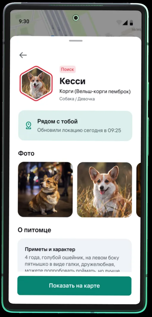 приложение для поиска потерявшихся питомцев