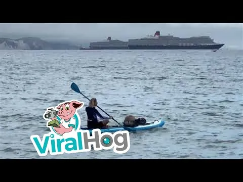 Нажми и смотри