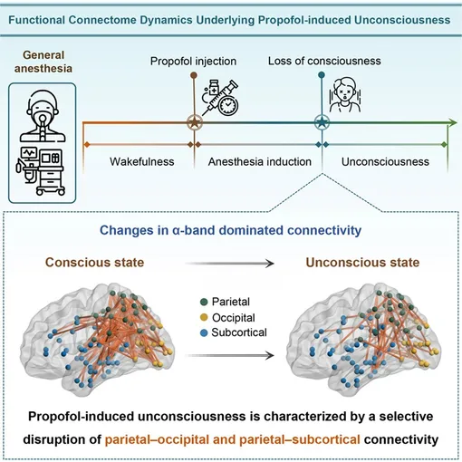 Схема исследования. Схема исследования.