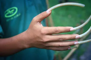 За гранью жизни: правда ли, что волосы и ногти человека растут еще некоторое время после его смерти