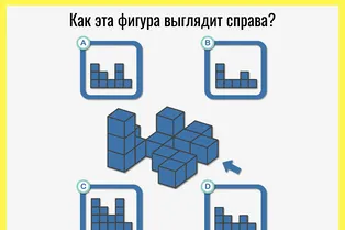 А у вас развито пространственное мышление? Тест на проверку важных когнитивных навыков А у вас развито пространственное мышление? Тест на проверку важных когнитивных навыков