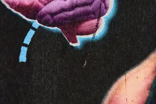 Почему затекает нога, когда мы долго сидим?