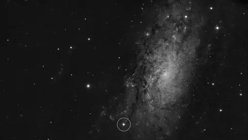 На этом изображении показано местоположение сверхновой SN 2024ggi в галактике NGC 3621. Оно было сделано 11 апреля 2024 года, всего через 26 часов после первоначального обнаружения сверхновой. На этом изображении показано местоположение сверхновой SN 2024ggi в галактике NGC 3621. Оно было сделано 11 апреля 2024 года, всего через 26 часов после первоначального обнаружения сверхновой.