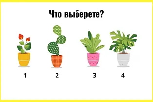 Выберите цветок и узнайте свой истинный умственный возраст: тест личности Выберите цветок и узнайте свой истинный умственный возраст: тест личности