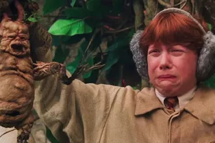 5 волшебных растений из вселенной «Гарри Поттера»