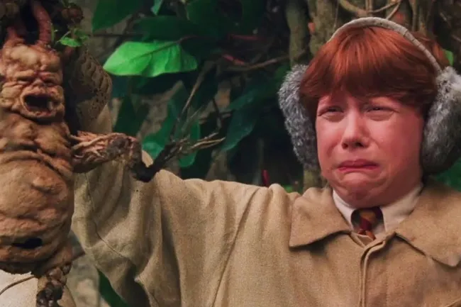 5 волшебных растений из вселенной «Гарри Поттера»