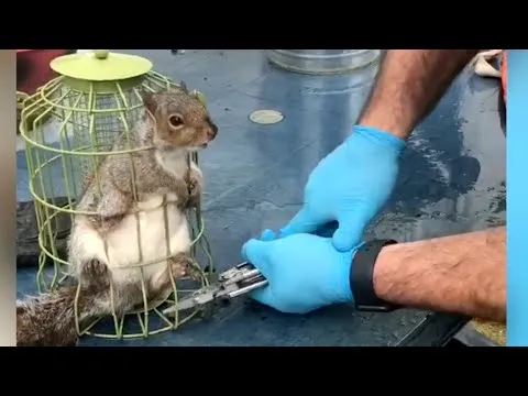Нажми и смотри