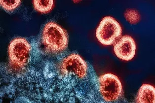 ВИЧ мог повлиять на эволюцию человека. Но его остановила антиретровирусная терапия