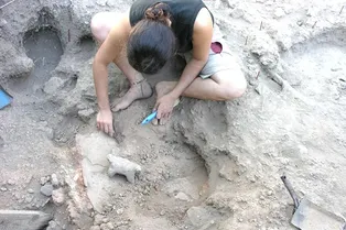 В Греции нашли 6000-летнее вино! Можно ли его пить? Узнайте интересные факты о древних греках В Греции нашли 6000-летнее вино! Можно ли его пить? Узнайте интересные факты о древних греках