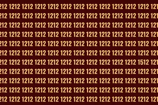 Цифровой бум: найдите среди 1212 лишнее число в кратчайшие сроки Цифровой бум: найдите среди 1212 лишнее число в кратчайшие сроки
