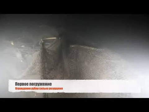 Нажми и смотри