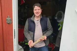 История, как фермер случайно наткнулся на 1100-летний меч викингов на своем участке!