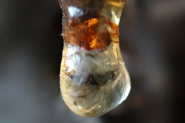 Необычные профессии СССР: как работали «вздымщики»