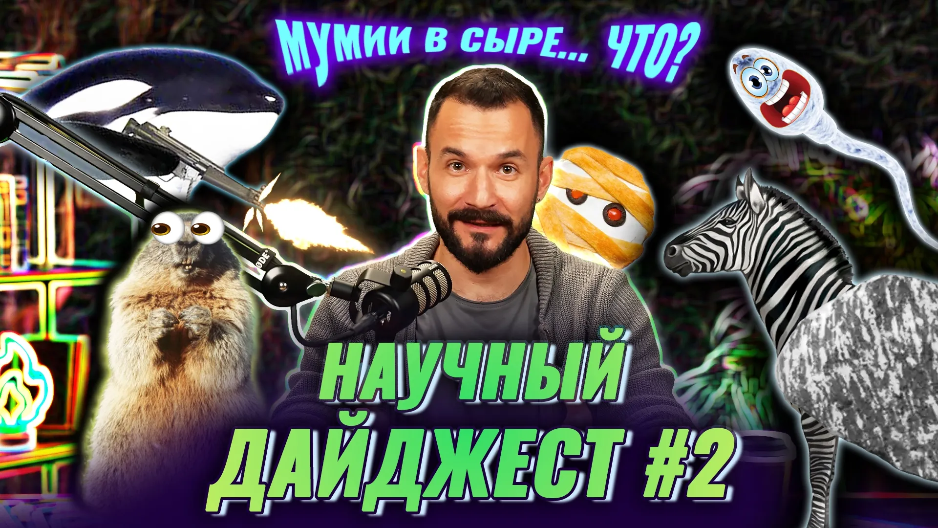 Нажми и смотри Нажми и смотри