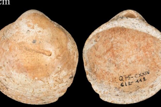 Древние люди начали показывать свою индивидуальность 120 000 лет назад Древние люди начали показывать свою индивидуальность 120 000 лет назад